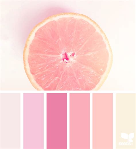 Fresh Hues Color Palette Pink Color Palette Color Schemes