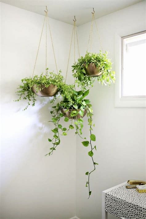 8 Creative Ways To Decorate An Empty Corner In Your Home Hanging
