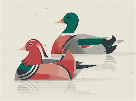 Ducks By Nick Matej On Dribbble