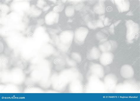 Leaf Shadow And Light On Wall Nature Blur Background Stock Image