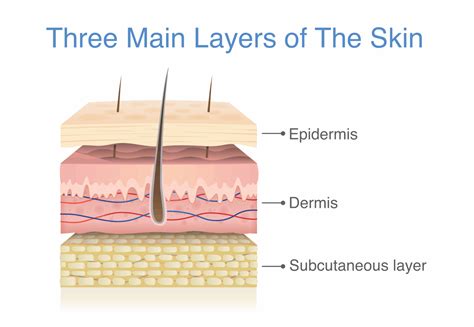 Microneedling For Hair Loss Whats The Best Needle Size 2023