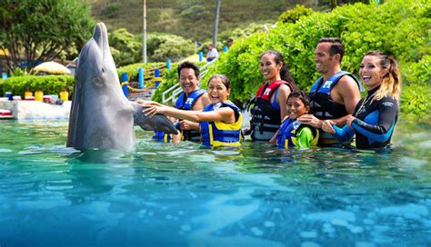 Swim With Dolphins Hawaii