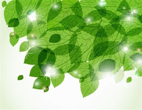 Fresh Green Leaves Vector Background Vectors Graphic Art Designs In