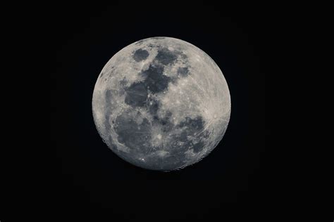 Ninety Eight Percent Full Moon In Monochrome Photograph By Merrillie Redden Fine Art America