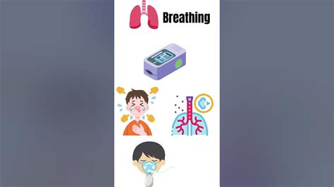 Airway Breathing Circulation Youtube