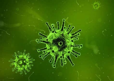 Dieses virus ist sehr weit. Was ist Pfeiffersches Drüsenfieber? - Ursachen, Symptome ...