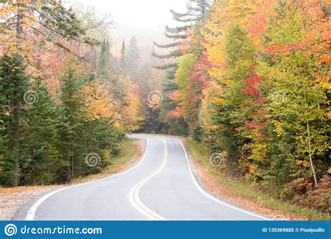 fall colors in north america stock image image of foggy leaf 135369885