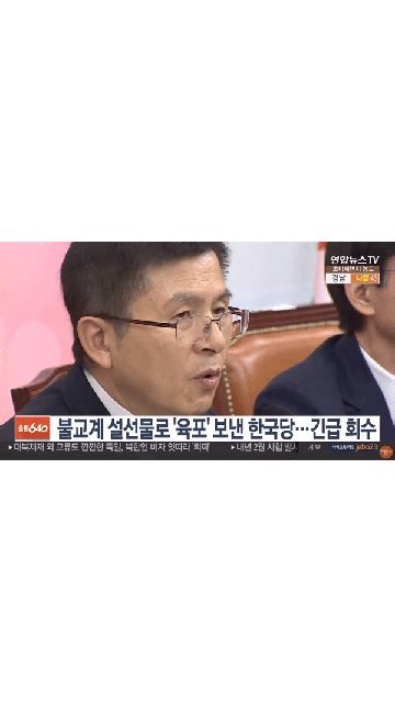 황교안 당대표 나경원 원내대표 체제로 돌아가야 대선필승하고 만진당 찢어버릴 정치시사 에펨코리아