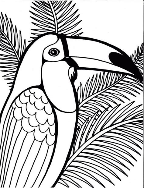 Home > animal coloring page > bird coloring pages > parrot bird coloring pages. high detailed parrot coloring sheet printable