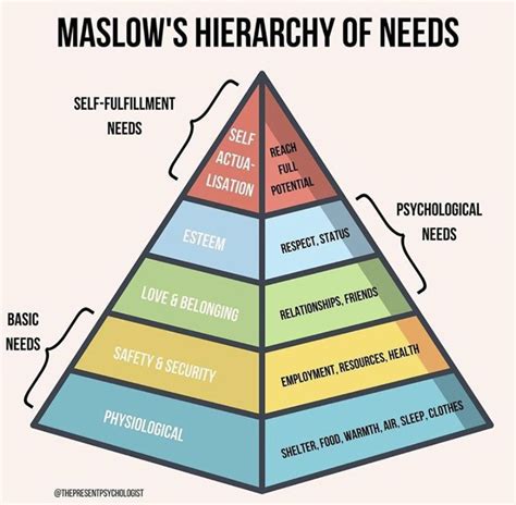 20 Maslows Hierarchy Of Needs Ideas Maslows Hierarchy Of Needs Images