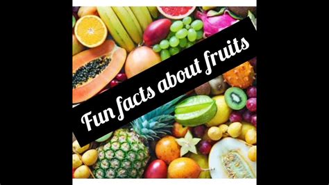 10 Fun Facts About Fruits Youtube