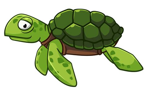 Green Sea Turtle Clipart Png