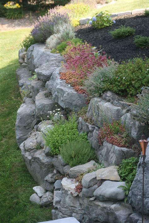 Pin By Gael Oneill On Backyard Rock Garden Design Rock Garden