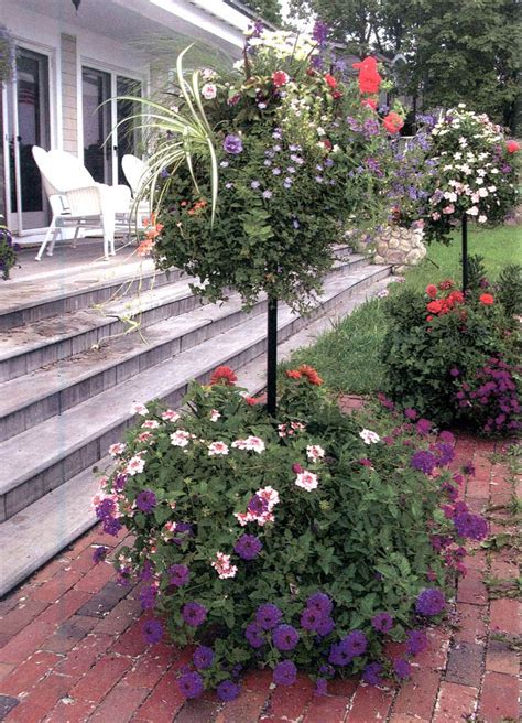 Pin By Pamela Crawfords Side Plantin On Basket Columns Plants