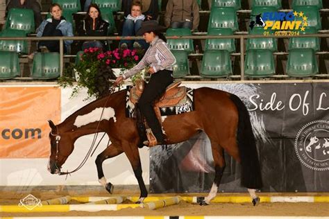 Paint Horse Sport Ab Jetzt Können Die Apha Amateur Novice Amateur