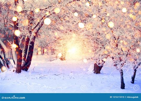 Winter Forest With Colorful Snowflakes Snow Covered Trees With