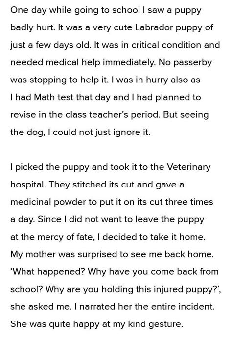 Write A Story On Saving An Injured Animal