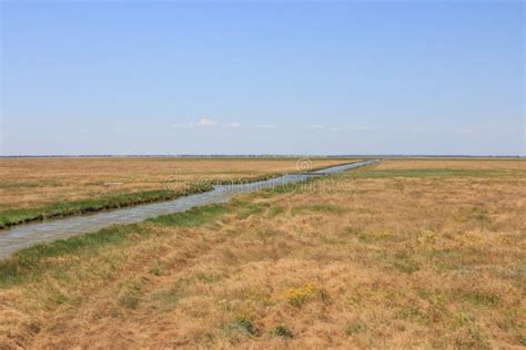 A View Of The Ukrainian Steppe On The Territory Of The National Nature
