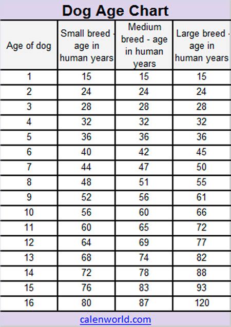 Dog Age Calendar Dog Age Chart Dog Age Converter