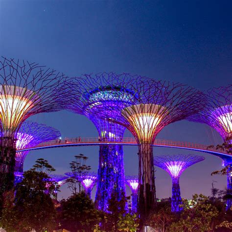 Tourist Attractions In Singapore Avantika Holidays