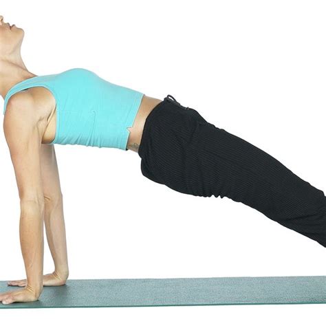 Reverse Leg Lift Plank Back Exercises Healthy Living