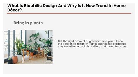 Ppt What Is Biophilic Design And Why Is It New Trend In Home Décor