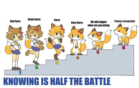 six stages of furry furry scale know your meme