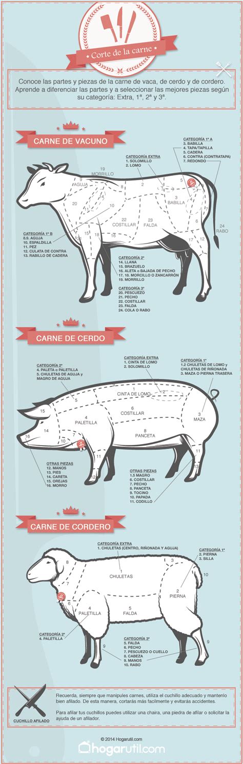 Infografía Sobre El Corte De La Carne De Vaca Cerdo Y Cordero Hogarmania