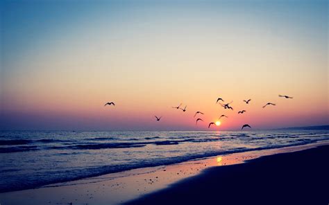 Pastel Beach Sunset Desktop Wallpapers Top Free Pastel Beach Sunset