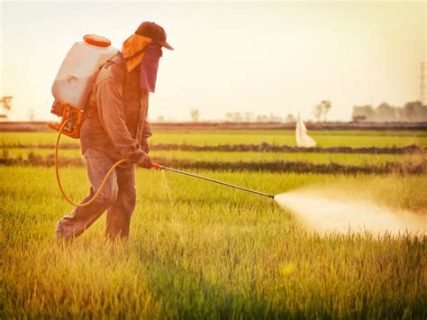 Court Lays A Smackdown On The Epa For Its Pesticide Inaction Earthjustice