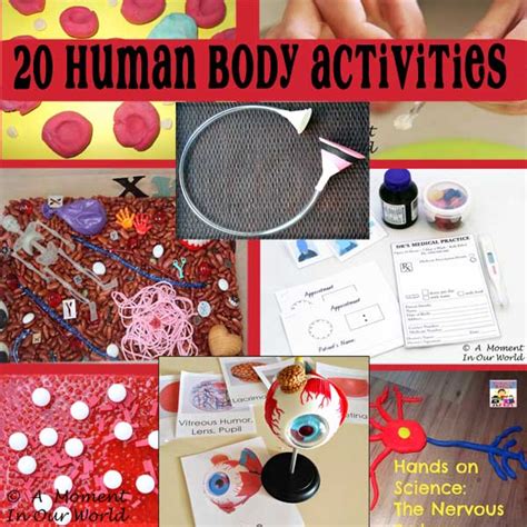20 Human Body Activities A Moment In Our World