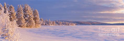 Frozen Aijajarvi Lake In Finnish Lapland In Winter At Sunset Photograph