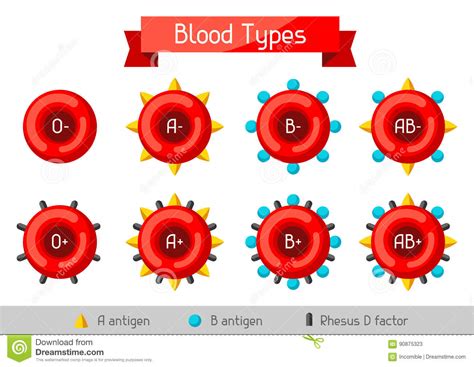 Blood Types Icons Cartoon Vector 62142859