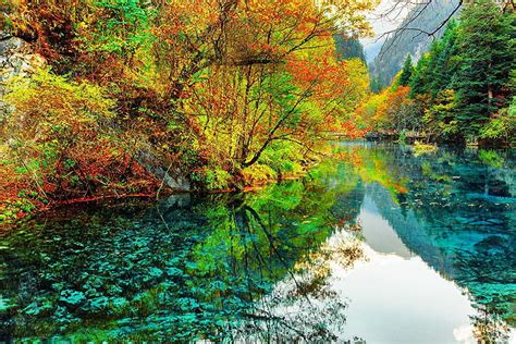 Jiuzhaigou Park China Valley Nature Autumn Parks Rivers Trees