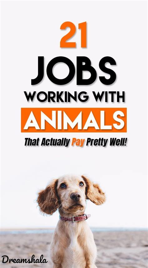 21 Coolest Jobs Working With Animals Jobs List For 2021 Working