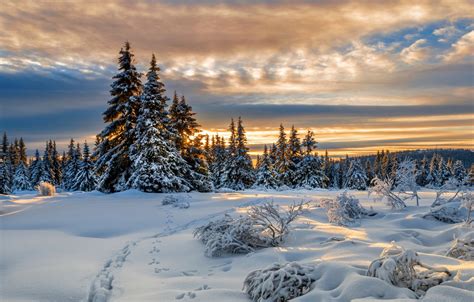 Wallpaper Winter Snow Traces Ate Norway Norway Lillehammer Images