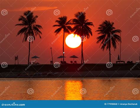 Amazing Beach Sunset With Coconut Tree Beside Lagoon Stock Photo