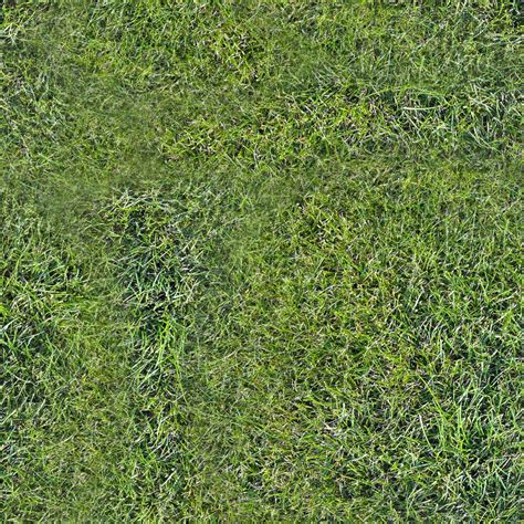 Forest Ground Textures Grass 11 Png