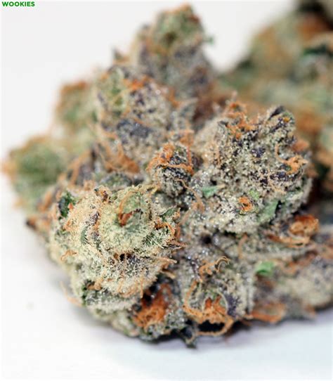 heres why weed is getting stronger :mjcry: