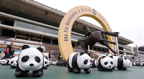 Its Panda Monium 1600 Bears Win The Hearts Of Hongkongers At Citys