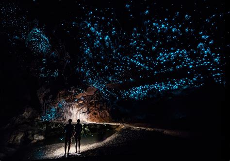 Kawiti Glow Worm Caves Bay Of Islands New Zealand Adventure Travel