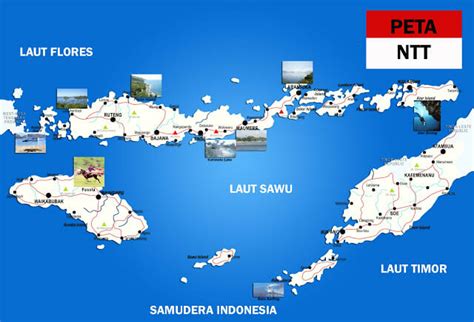 Peta NTT Lengkap Dengan Kabupaten Dan Kota Tarunas