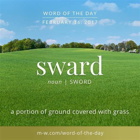 71 Best Word Of The Day Images On Pinterest Merriam Webster English