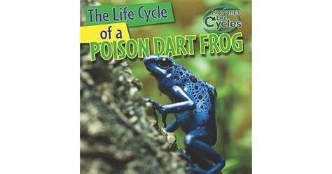 The Life Cycle Of A Poison Dart Frog By Anna Kingston