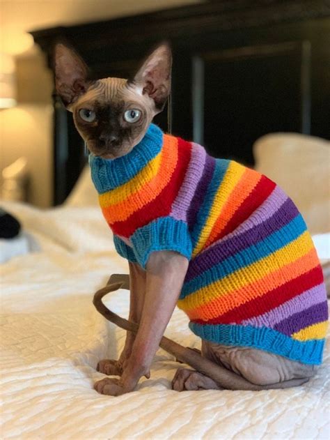 This Item Is Unavailable Etsy Sphynx Cat Clothes Cat Sweaters Cat