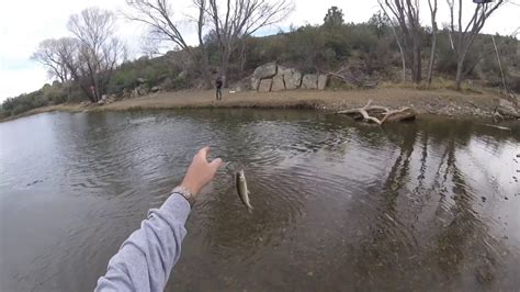 Combat Fishing For Rainbow Trout At Fain Lake Arizona Youtube