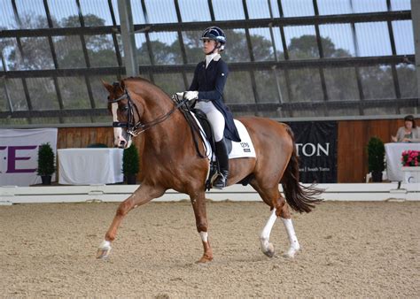 #horsblr #equestrian #dressage #dressage horse #dressage rider #equestrians of tumblr #riders of tumblr #paint horse #bob #my horse #my posts #training diary. EXCITING OPPORTUNITIES FOR YOUNG DRESSAGE RIDERS ...