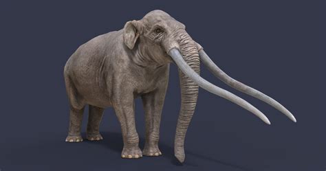 Our guide to some of the most endangered animal species in the uk that have suffered acute declines in recent years. Extinct animals version 8 3D - TurboSquid 1534150