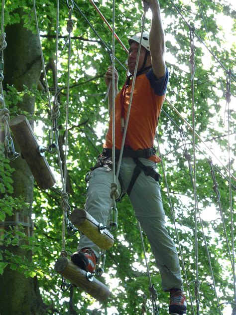 Free Images Tree Adventure Jungle Balance Climb Crown Fear