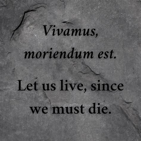 50 Latin Phrases To Make You Sound Like A Master Orator